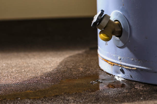 Best Flood restoration services  in De Motte, IN