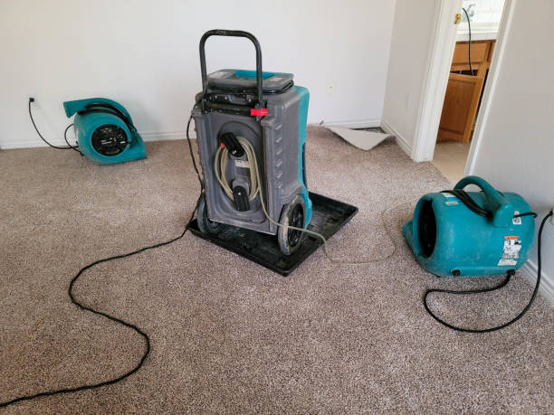 Best Water damage contractors near me  in De Motte, IN