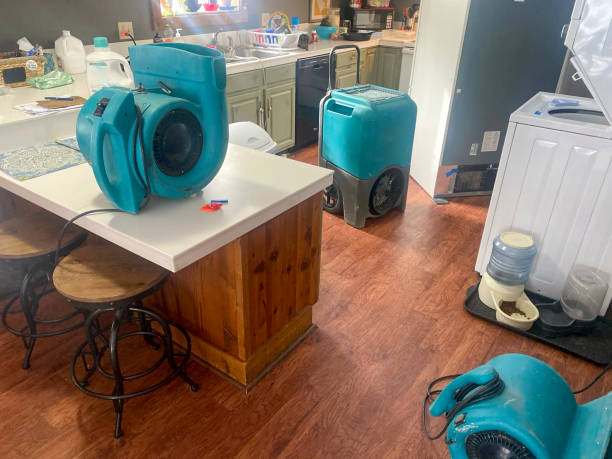 Best Water damage restoration near me  in De Motte, IN