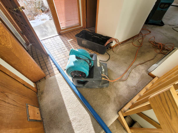 Best Professional water damage repair  in De Motte, IN