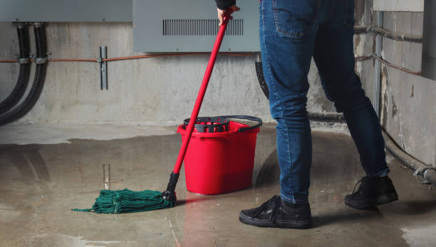 Best Mold removal after water damage  in De Motte, IN