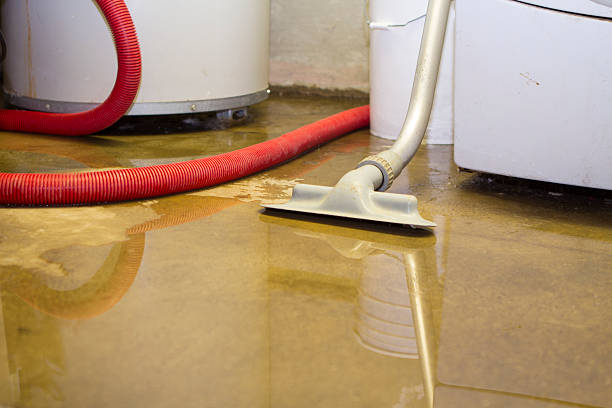 Best Flood restoration services  in De Motte, IN
