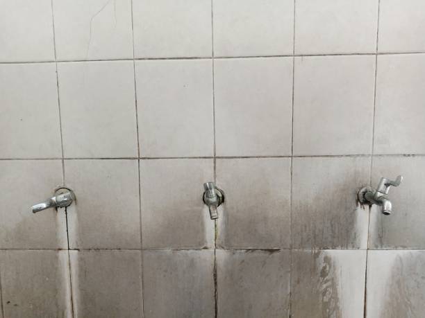 Best Commercial water damage restoration  in De Motte, IN