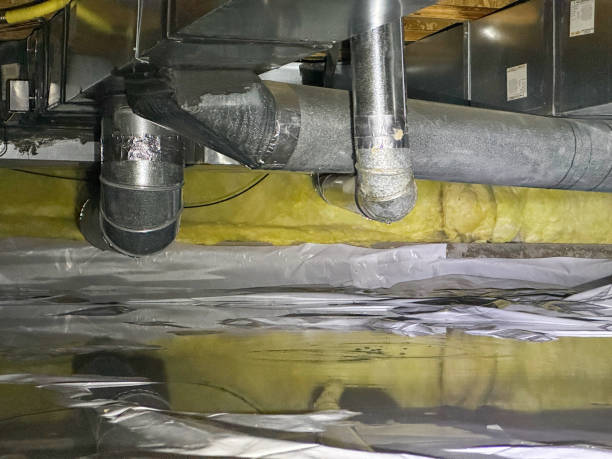 Best Flood damage cleanup  in De Motte, IN