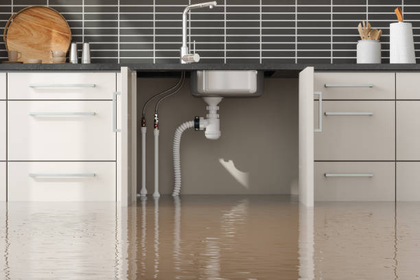 Best Sewage cleanup and water damage restoration  in De Motte, IN