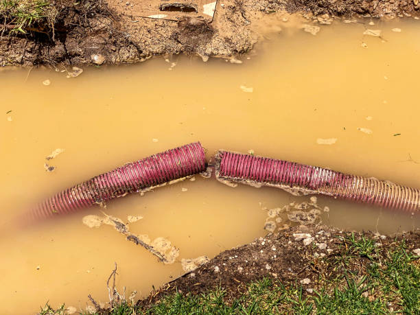 Best Water damage cleanup near me  in De Motte, IN