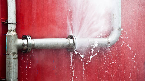 Best Residential water damage restoration  in De Motte, IN